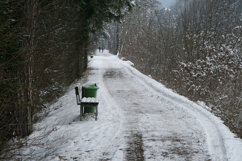 Winter Frutz   2012 178_jpg-1329378981