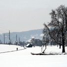 Winter Frutz   2012 210_jpg-1329379002