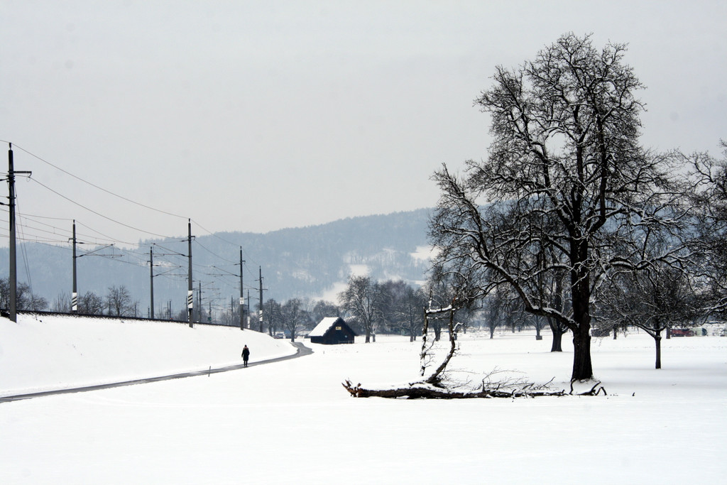 Winter Frutz   2012 210_jpg-1329379002