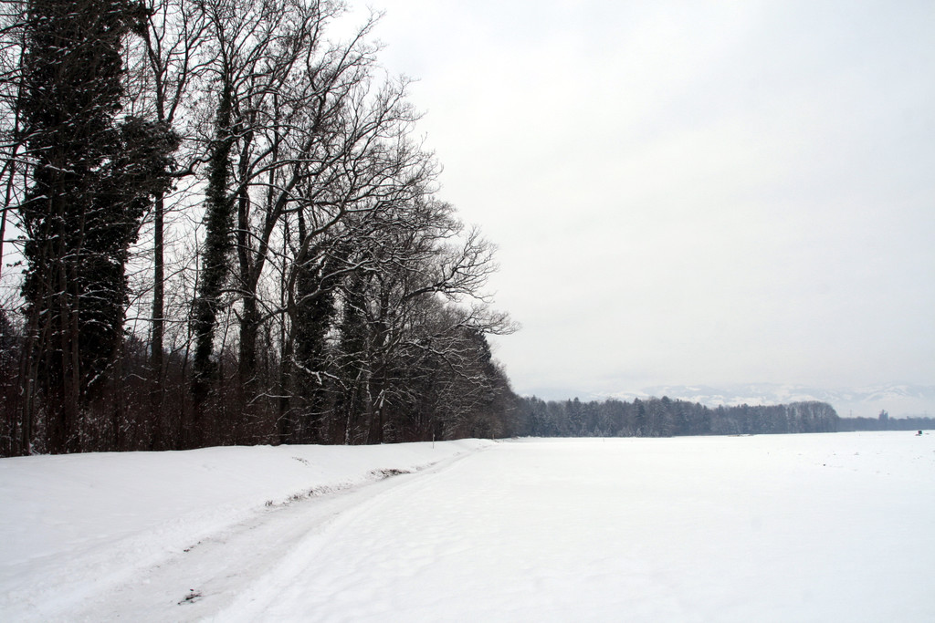 Winter Frutz   2012 236_jpg-1329379024