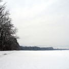 Winter Frutz   2012 240_jpg-1329379044