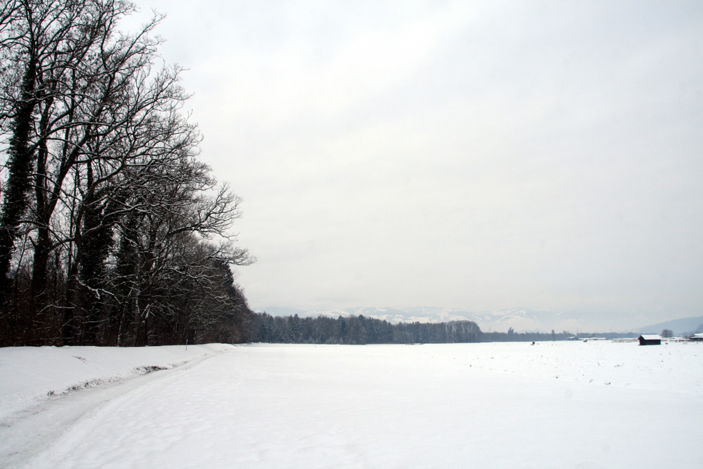Winter Frutz   2012 240_jpg-1329379044