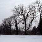 Winter Frutz   2012 286_jpg-1329379071