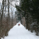 Winter Frutz   2012 301_jpg-1329379095