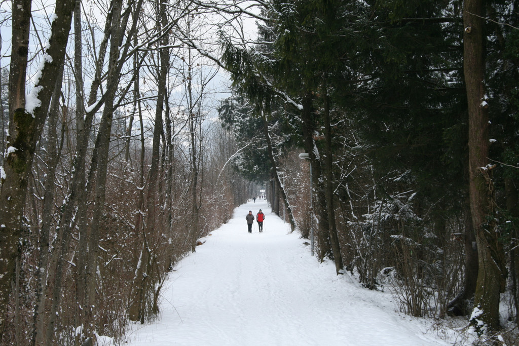 Winter Frutz   2012 301_jpg-1329379095