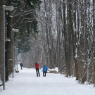 Winter Frutz   2012 305_jpg-1329379122