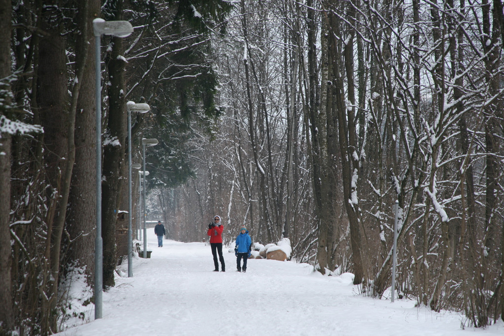 Winter Frutz   2012 305_jpg-1329379122