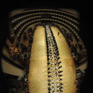 ABD0113-20120215.jpg