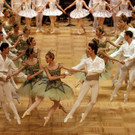 DDI1104-20120215.jpg