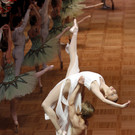 DDI1110-20120215.jpg