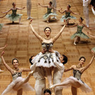 DDI1118-20120215.jpg