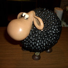 CIMG4939_JPG-1329396210