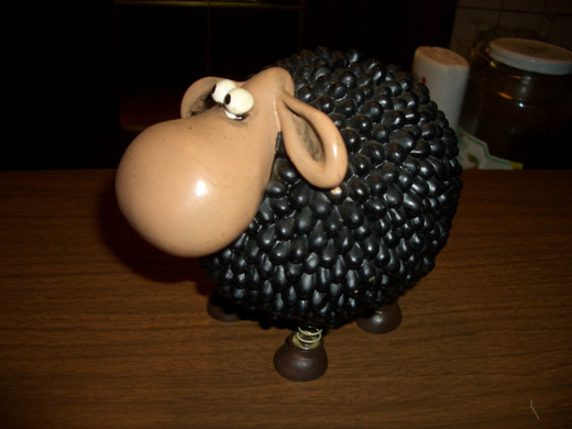 CIMG4939_JPG-1329396210