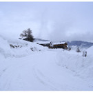 DSC04878.JPG