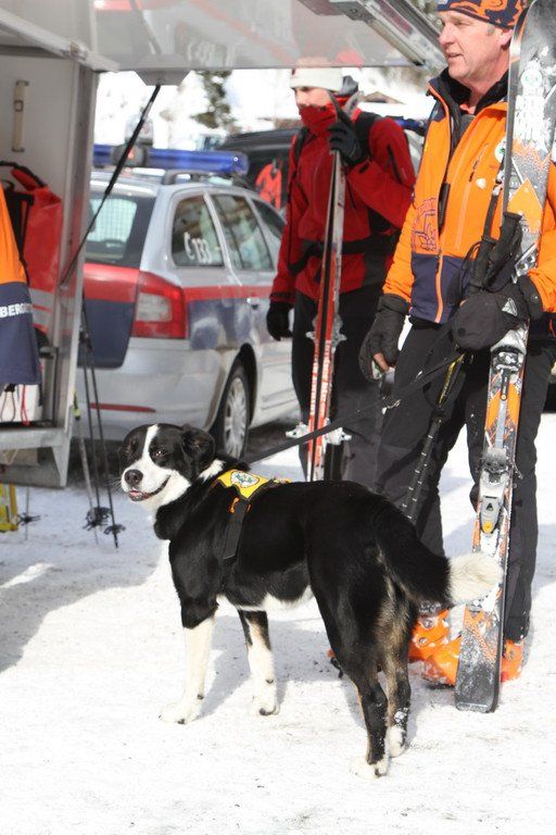 16022012lawinede01001aktivnews_46.jpg