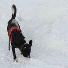 16022012lawinede01001aktivnews_42.jpg