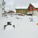 Winter_2.JPG