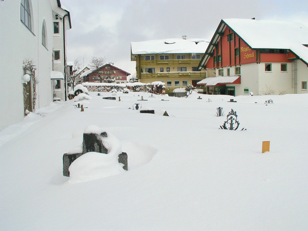 Winter_2.JPG
