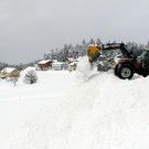 Winter_3.JPG