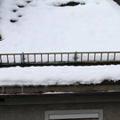 normal_16022012_fmt_tauwetter_ta_020.JPG
