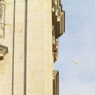 normal_16022012_fmt_tauwetter_ta_024.JPG