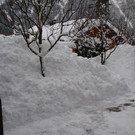 P2160066 _Klein_.JPG