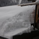 P2160067 _Klein_.JPG