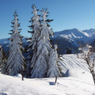 Wanderung auf Rellseck 020.JPG