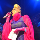 DSC_0350.JPG