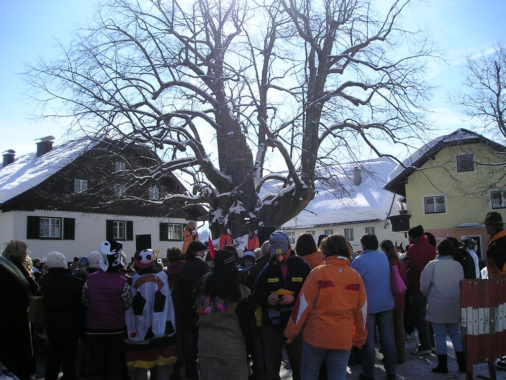 Fasching in Faistenau _5_.JPG