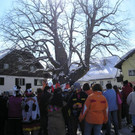 Fasching in Faistenau _5_.JPG