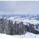 DSC05212.JPG