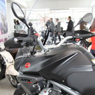 IMG_1852.JPG