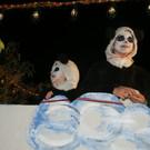 DSC04180.JPG
