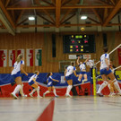 17022012fmt_psvbgoberndorf_ta_047.JPG