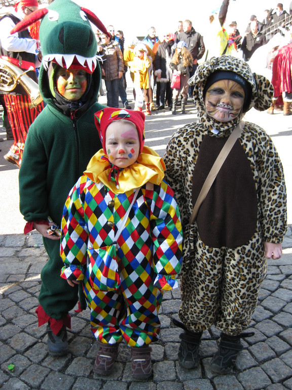 IMG_3811_JPG-1329582651