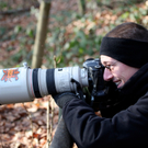 koe_Wildpark-Winter03.jpg