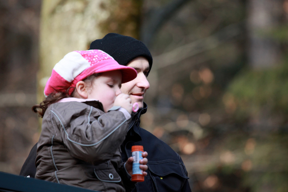 koe_Wildpark-Winter09.jpg