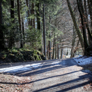 koe_Wildpark-Winter14.jpg
