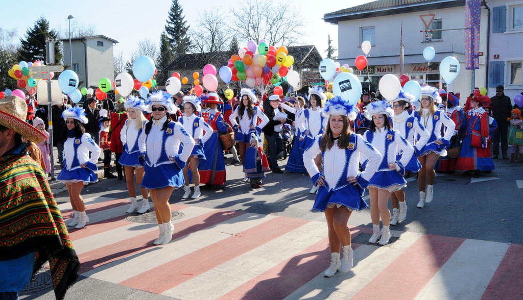 Fasching Fu__ach 18_02_2012 2_jpg-1329594257