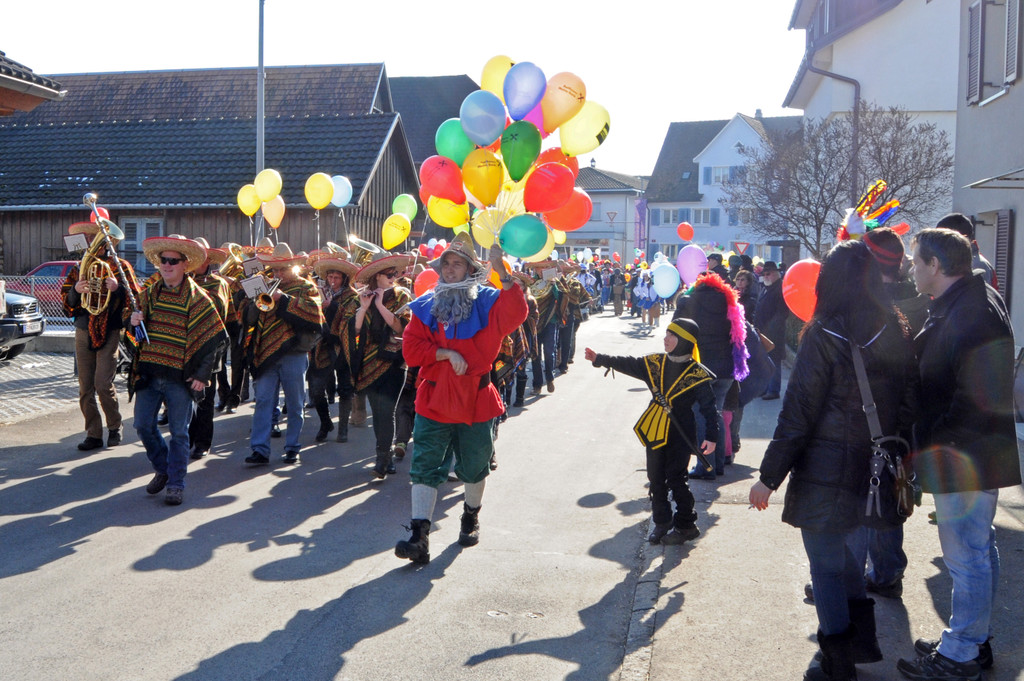 Fasching Fu__ach 18_02_2012 13_jpg-1329594306