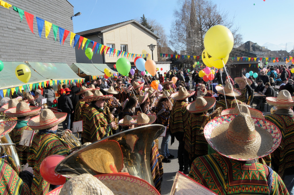 Fasching Fu__ach 18_02_2012 61_jpg-1329594444