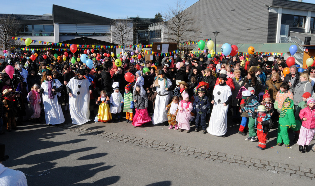 Fasching Fu__ach 18_02_2012 106_jpg-1329594510