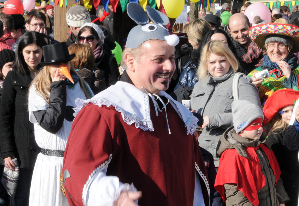 Fasching Fu__ach 18_02_2012 115_jpg-1329594541