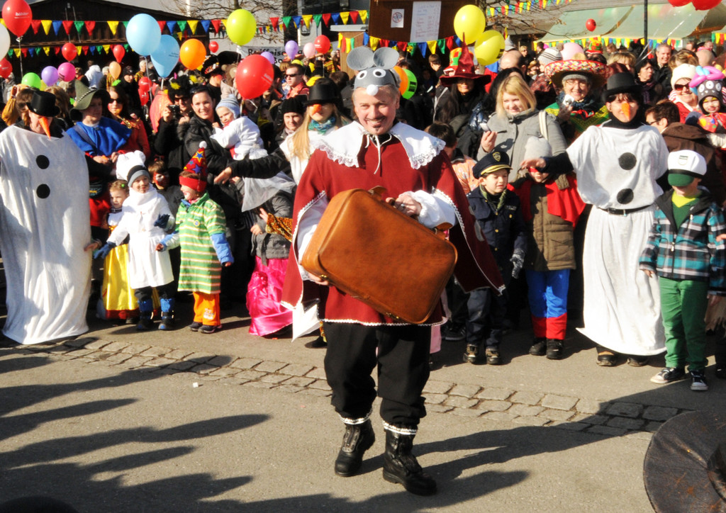 Fasching Fu__ach 18_02_2012 118_jpg-1329594552