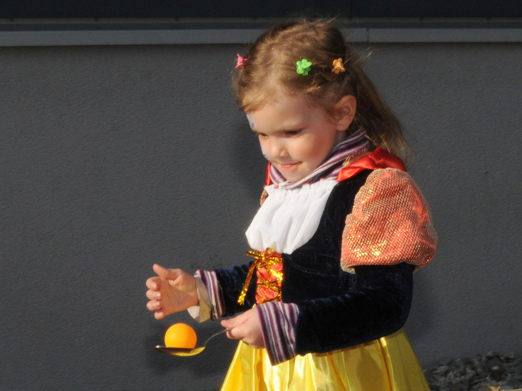 Fasching Fu__ach 18_02_2012 202_jpg-1329594763