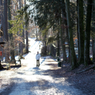 koe_Wildpark-Winter36.jpg
