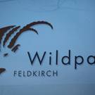 koe_Wildpark-Winter08.jpg