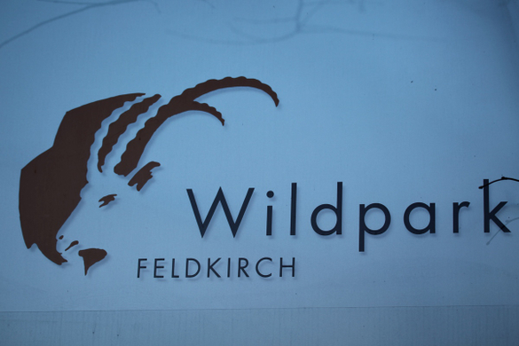koe_Wildpark-Winter08.jpg