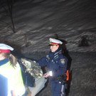 18022012vujohannat04002aktivnews023.JPG